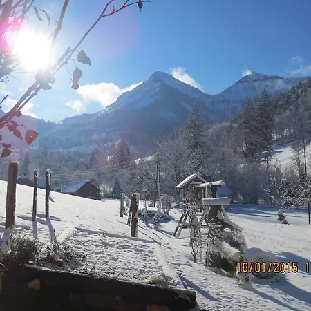 Bio-bauernhof Vordergrubenbach - Familie Oberascher * Хинтерзее