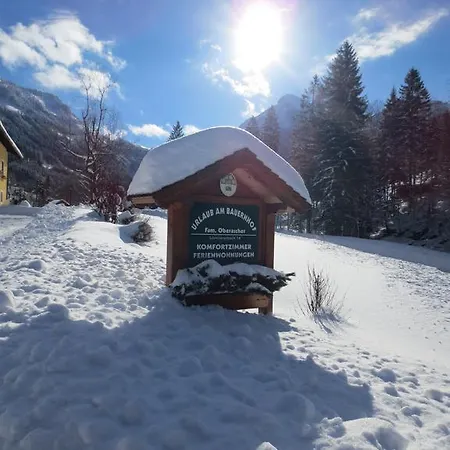 Bio-bauernhof Vordergrubenbach - Familie Oberascher * Hintersee