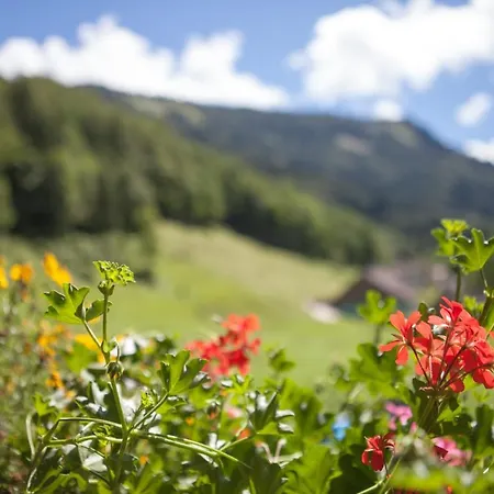 Agroturismo Bio-bauernhof Vordergrubenbach - Familie Oberascher *