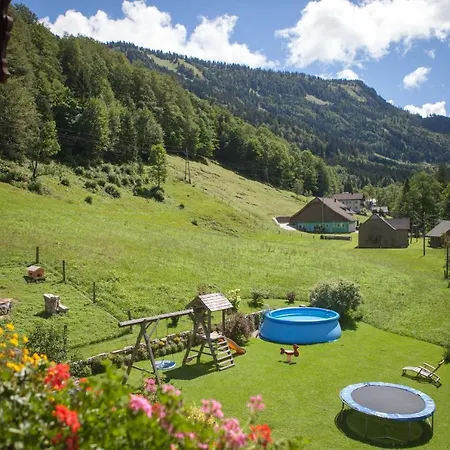 Bio-bauernhof Vordergrubenbach - Familie Oberascher *