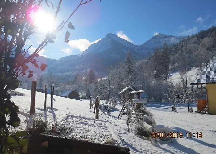 Bio-bauernhof Vordergrubenbach - Familie Oberascher * Hintersee
