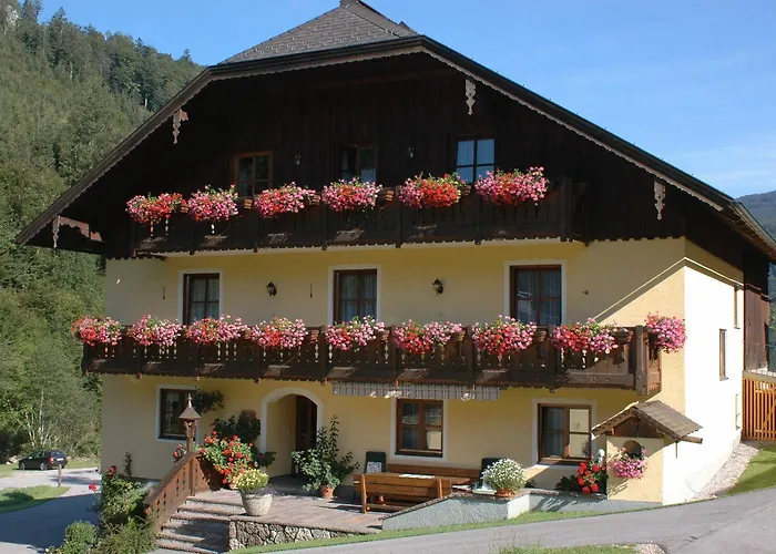 Bio-bauernhof Vordergrubenbach - Familie Oberascher Hintersee